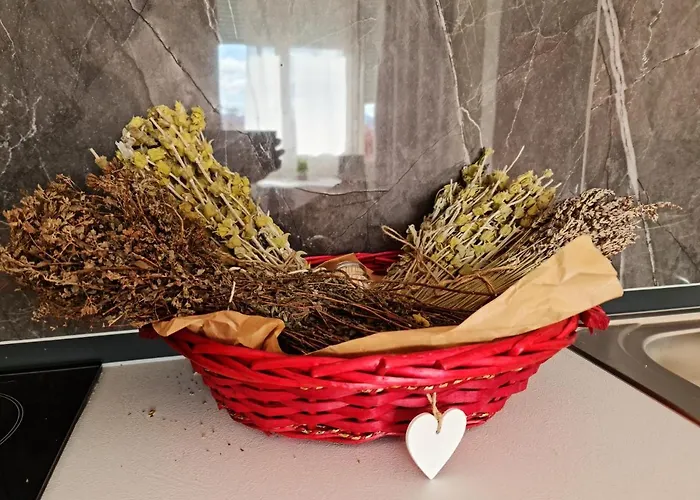 شقة Lovely One Bedroom In تيرانا