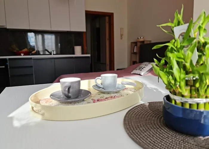 Lovely One Bedroom In アパート *