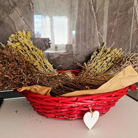 Appartement Lovely One Bedroom In Tirana